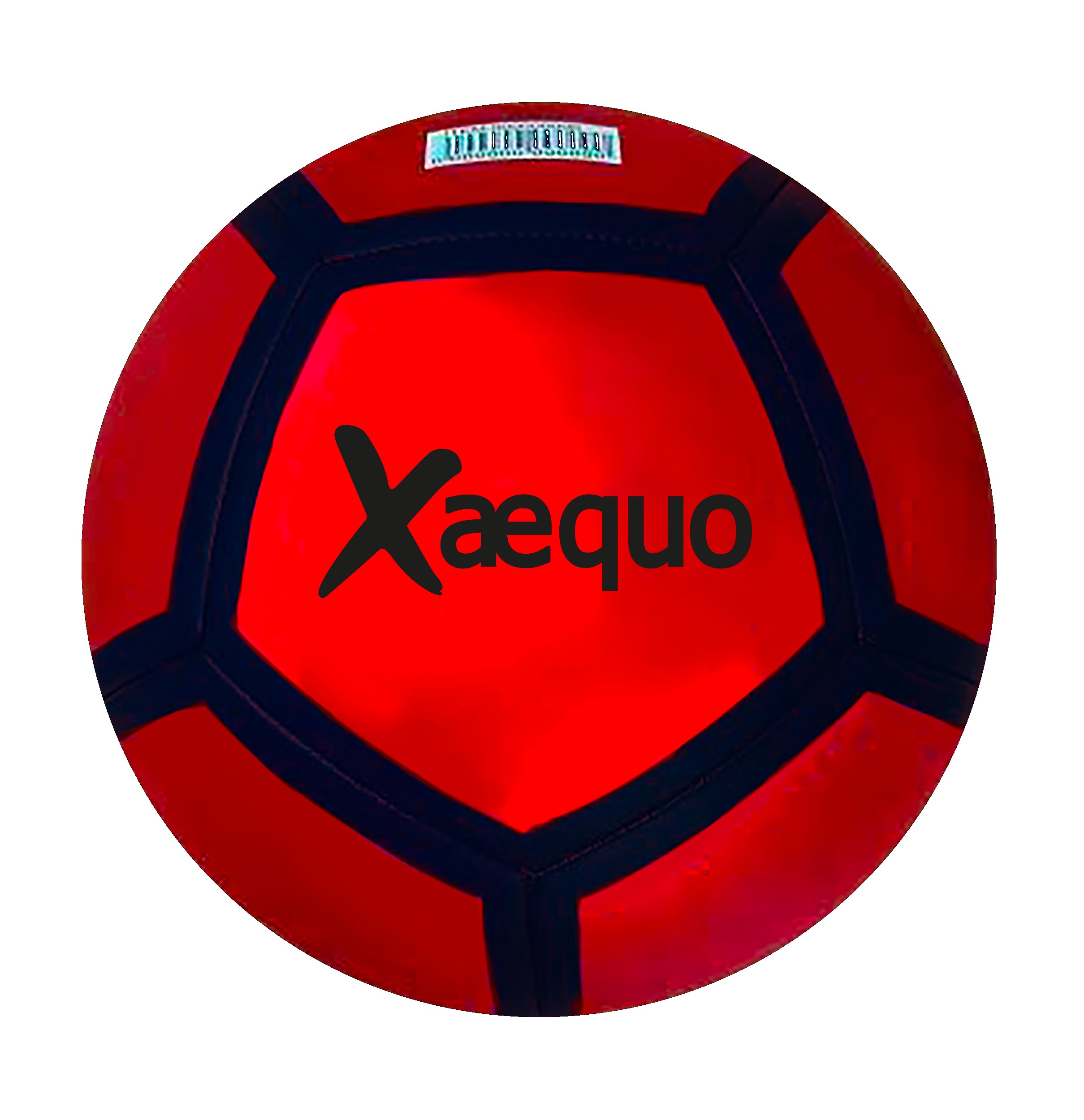 PIE COSIDO METÁLICO D.22CM XAEQUO?v=6982b520da9ad