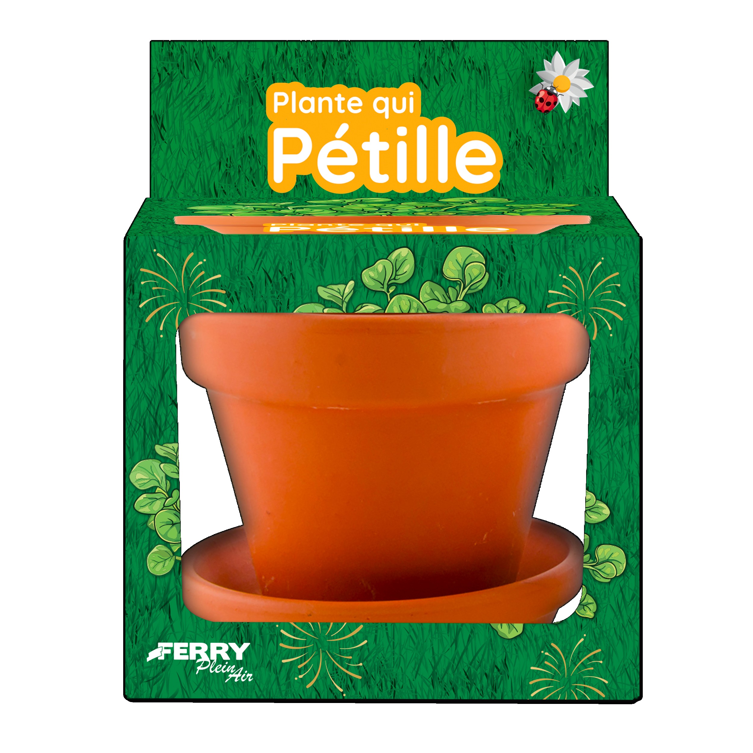 PLANTA DE SPLISHING EN MACETA DE 8CM?v=6982b54f4a8b9