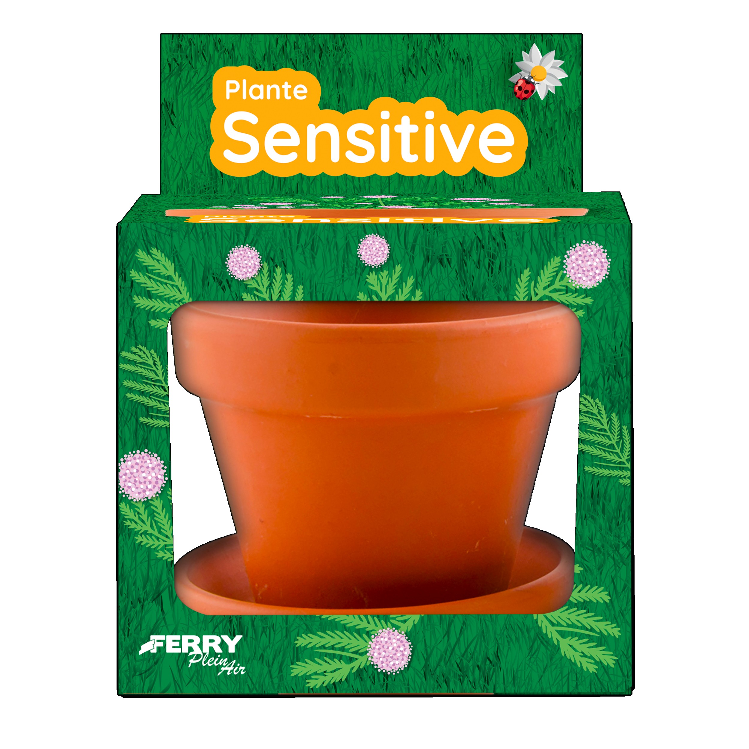 MACETA DE MIMOSA PUDICA DE 8 CM?v=6982b54f5a325