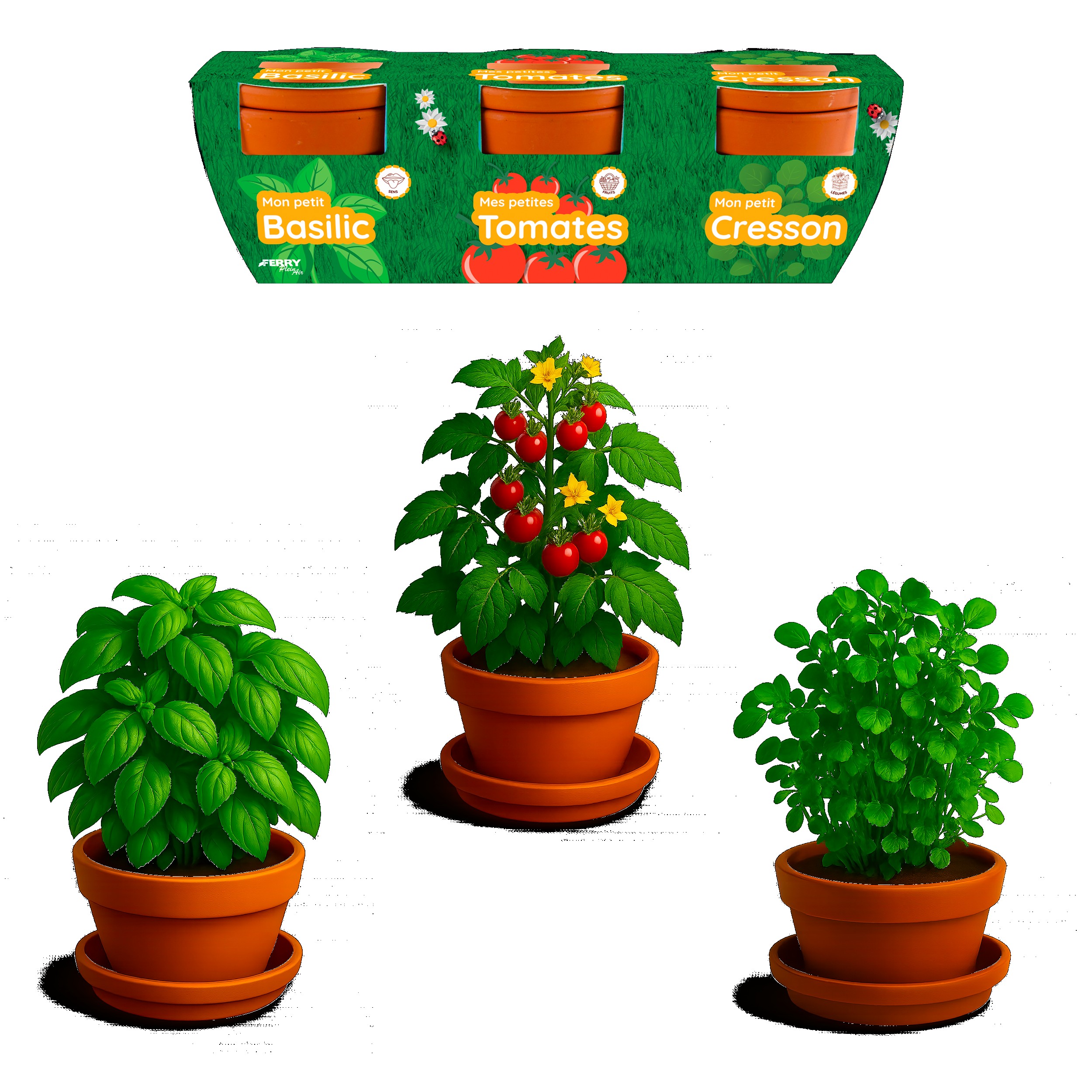 TRÍO DE PLANTAS GOURMET ORGÁNICAS?v=6982b54f79ddf