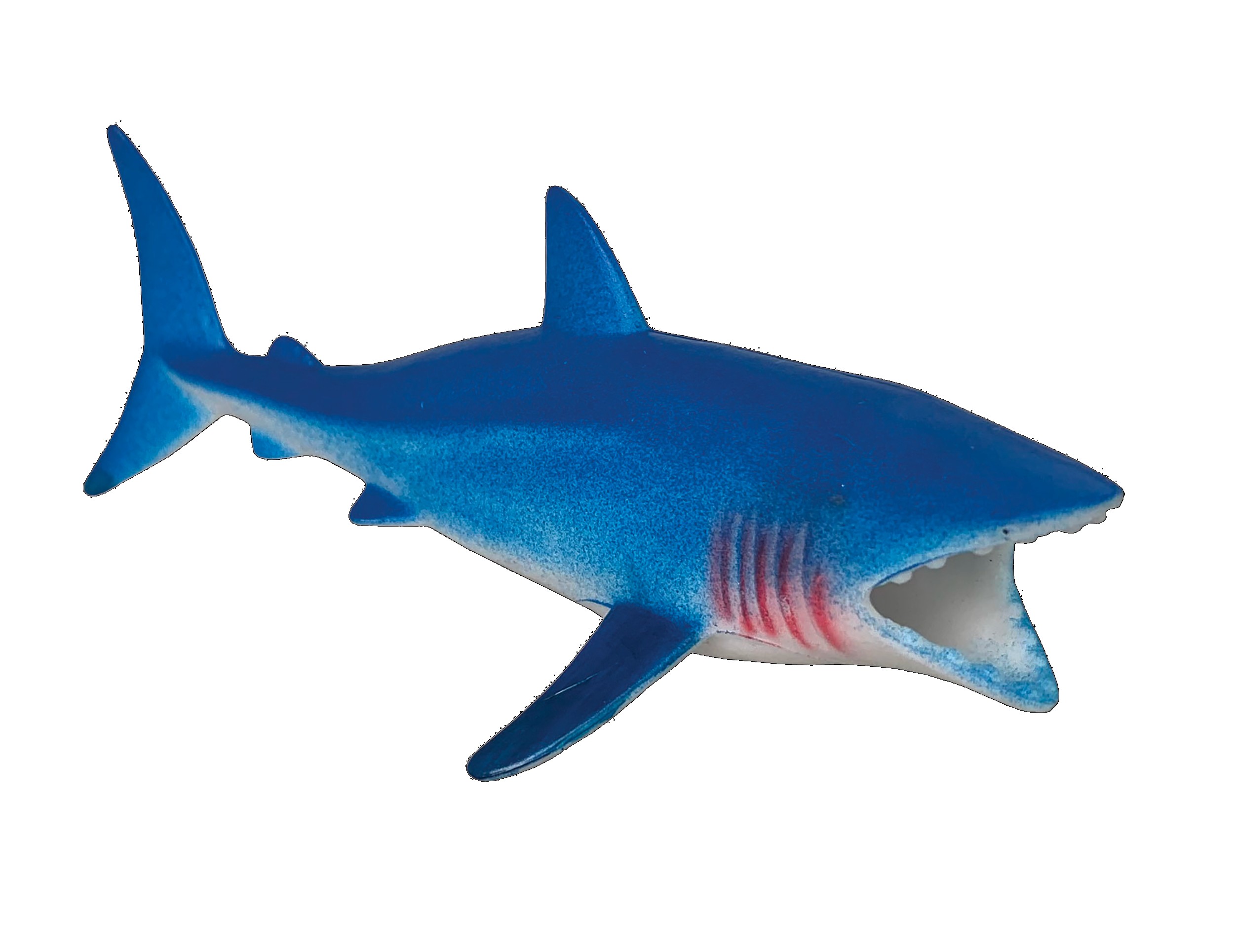 ANIMALES MARINOS PM?v=6982b5246f662