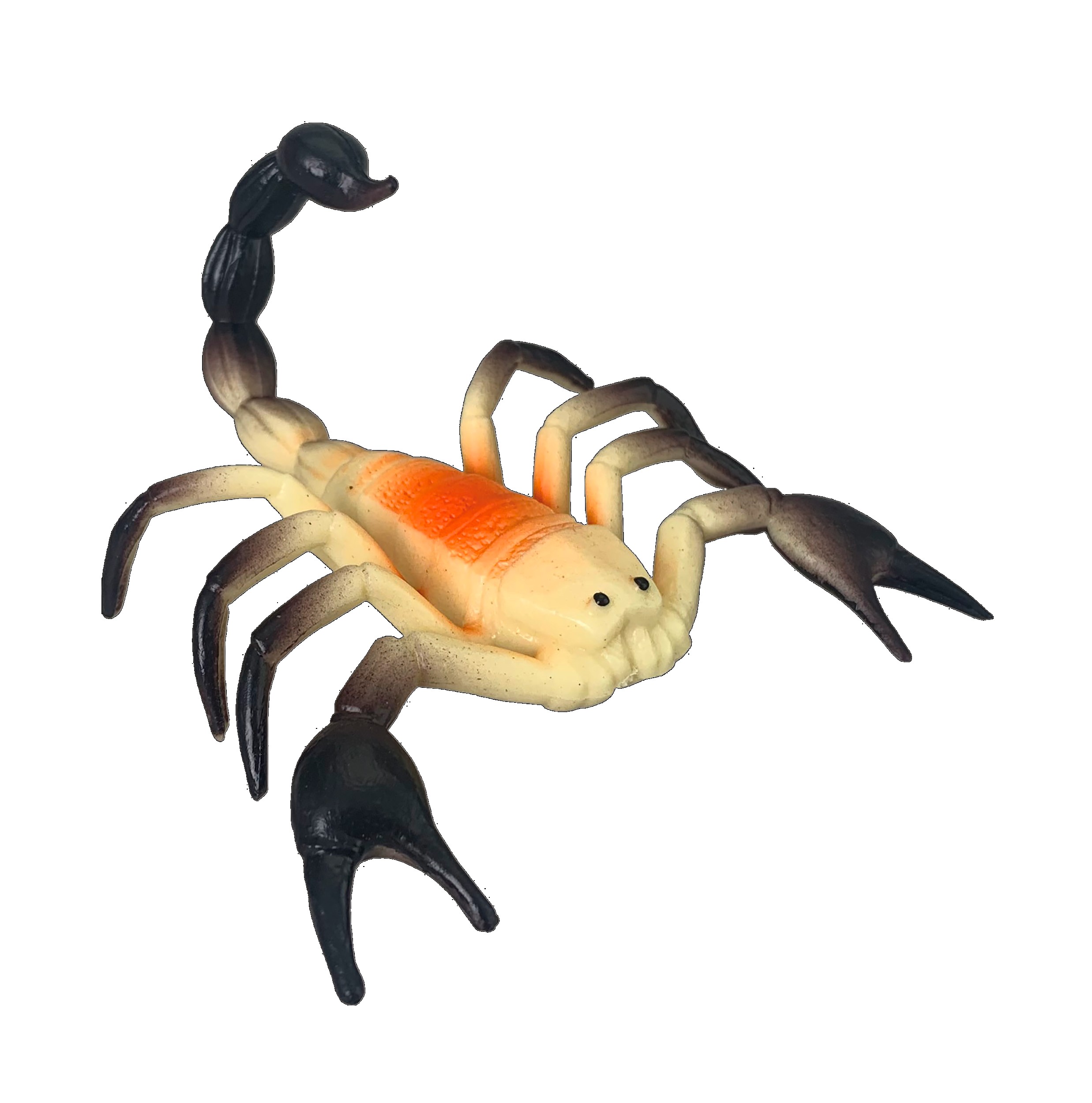 INSECTOS DE LAS 8 PM?v=6982b52467fb7