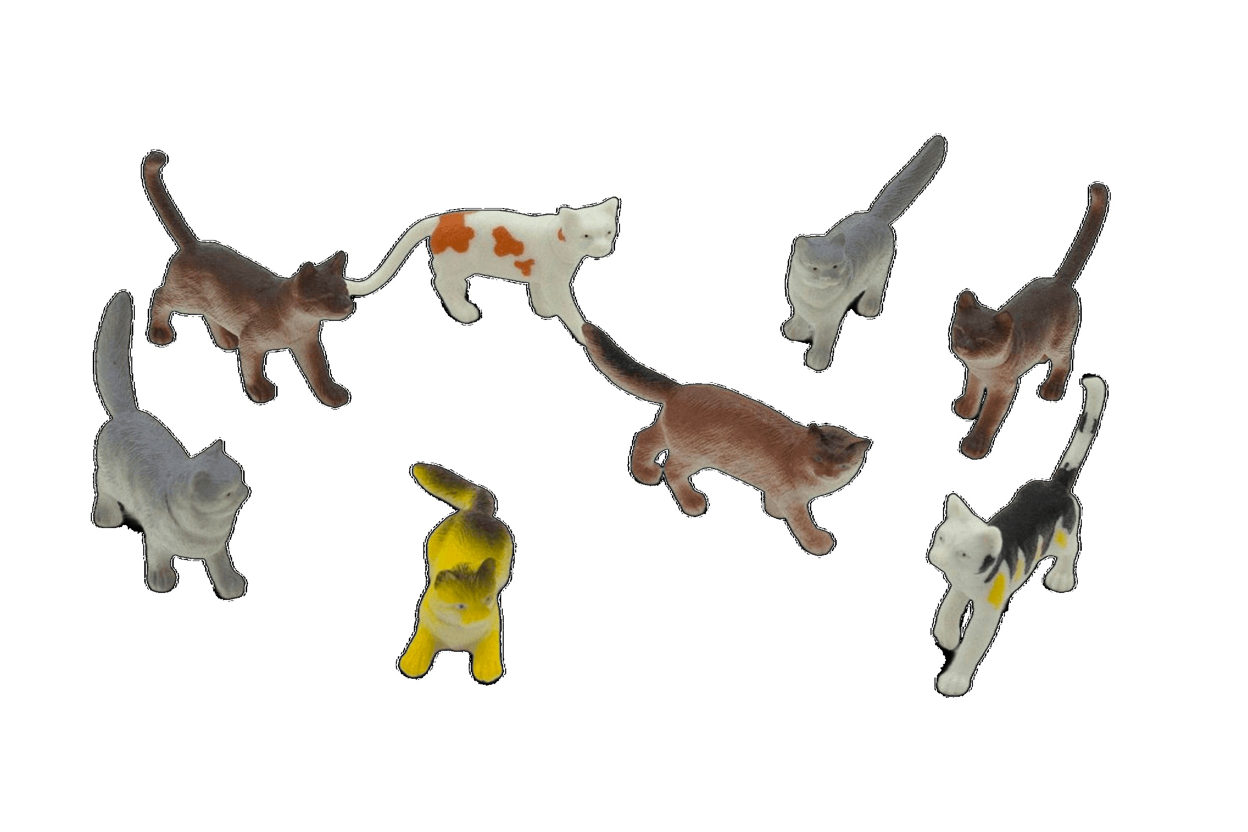 GATOS DE LAS 8 PM?v=6982b5247e237