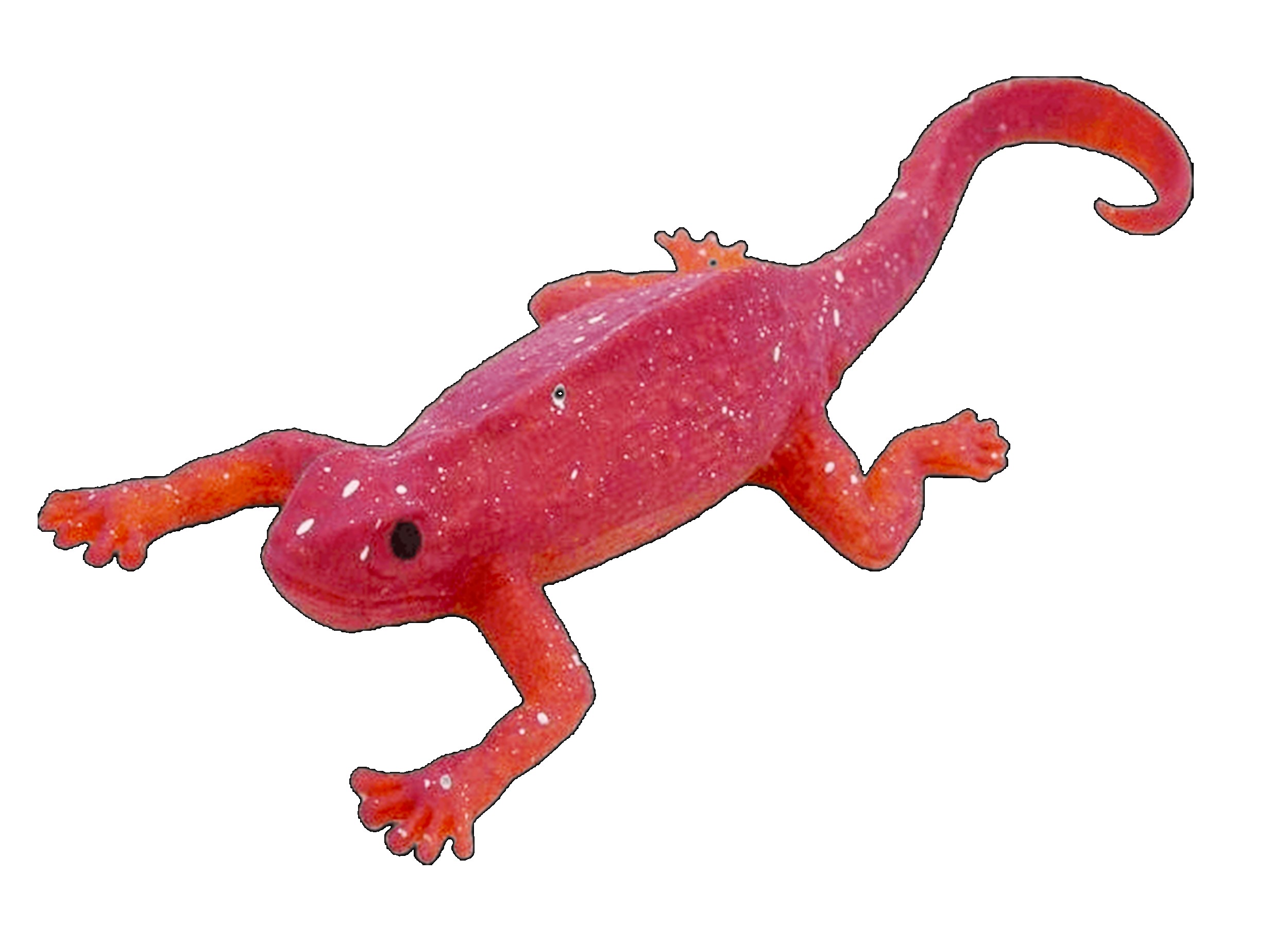 CAMELEÓN DB 48?v=6982b523f40f1