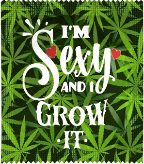 I'M SEXY AND I GROW IT?v=693b21b9b4778